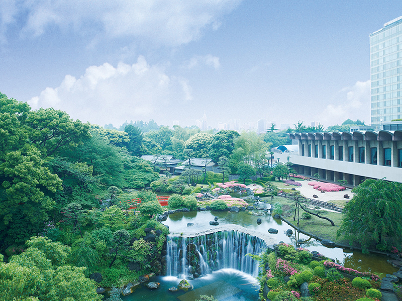 敷地内の日本庭園