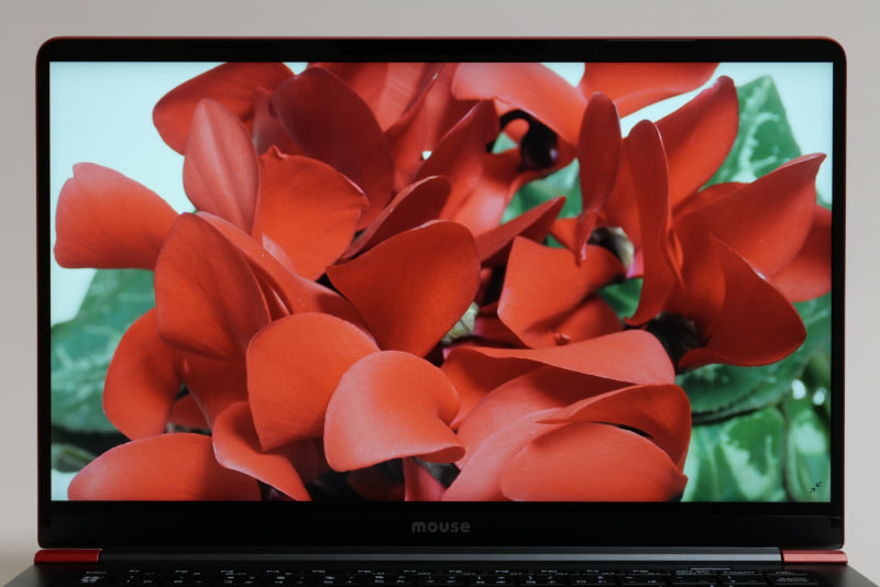 実際に写真を見てみると、赤や緑の階調表現が乏しく感じられる