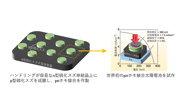 世界初のpn ホモ接合硫化スズ太陽電池の作製プロセスと発電特性