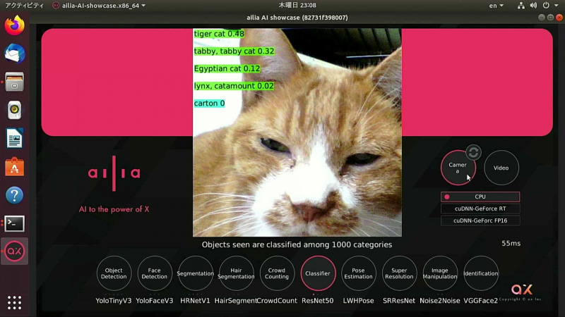 猫であることは間違いないのだが、なぜかTiger cat(ジャガーの仲間)扱いされている