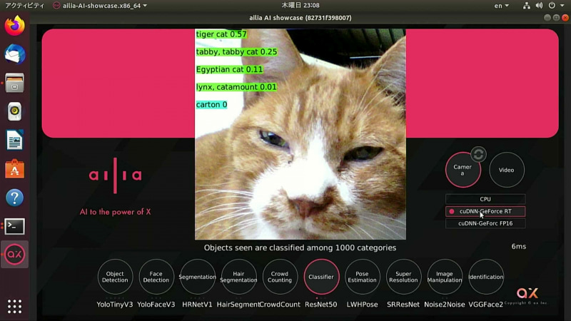 さらにTiger catだと確信を持たれている模様。一応分類としてはtabby catのはずなのだが