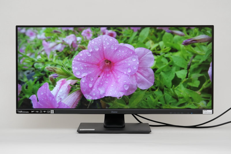 発色はこのクラスとしては標準的。クリエイター向けディスプレイのような鮮烈な発色というわけではないが、大きな不満はない