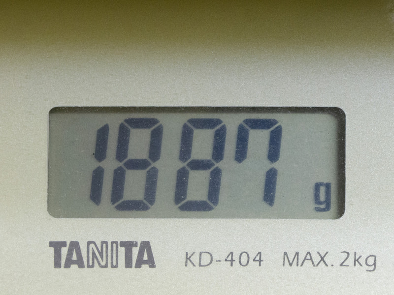 重量は実測で1,887g
