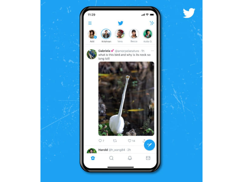 縦長画像の表示が見やすく