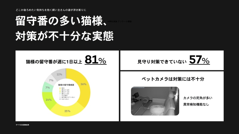 留守中の猫の様子はわからない