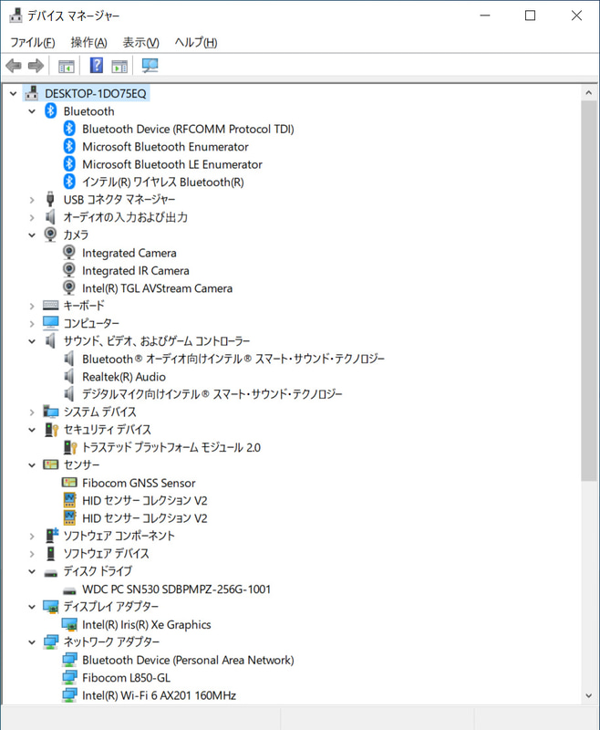 デバイスマネージャー/主要なデバイス。ストレージはPCIe SSD 256GBの「WDC PC SN530 SDBPMPZX-256G」。Wi-Fi-とBluetoothはIntel製、Fibocom L850-GLはLTEモジュール