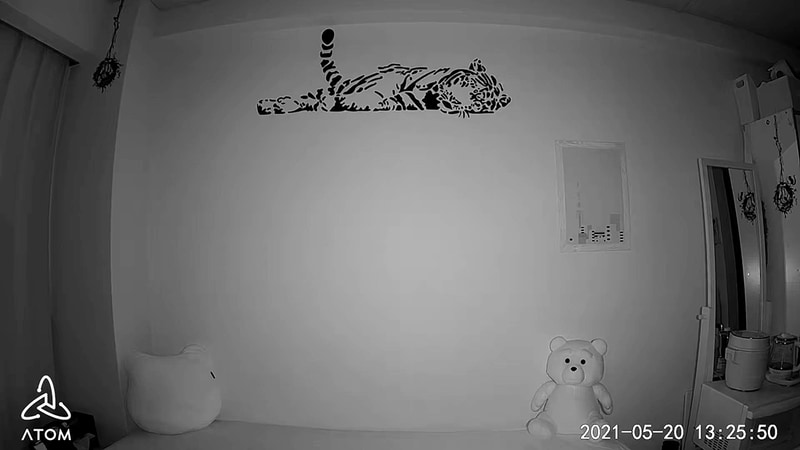 正常な個体の場合