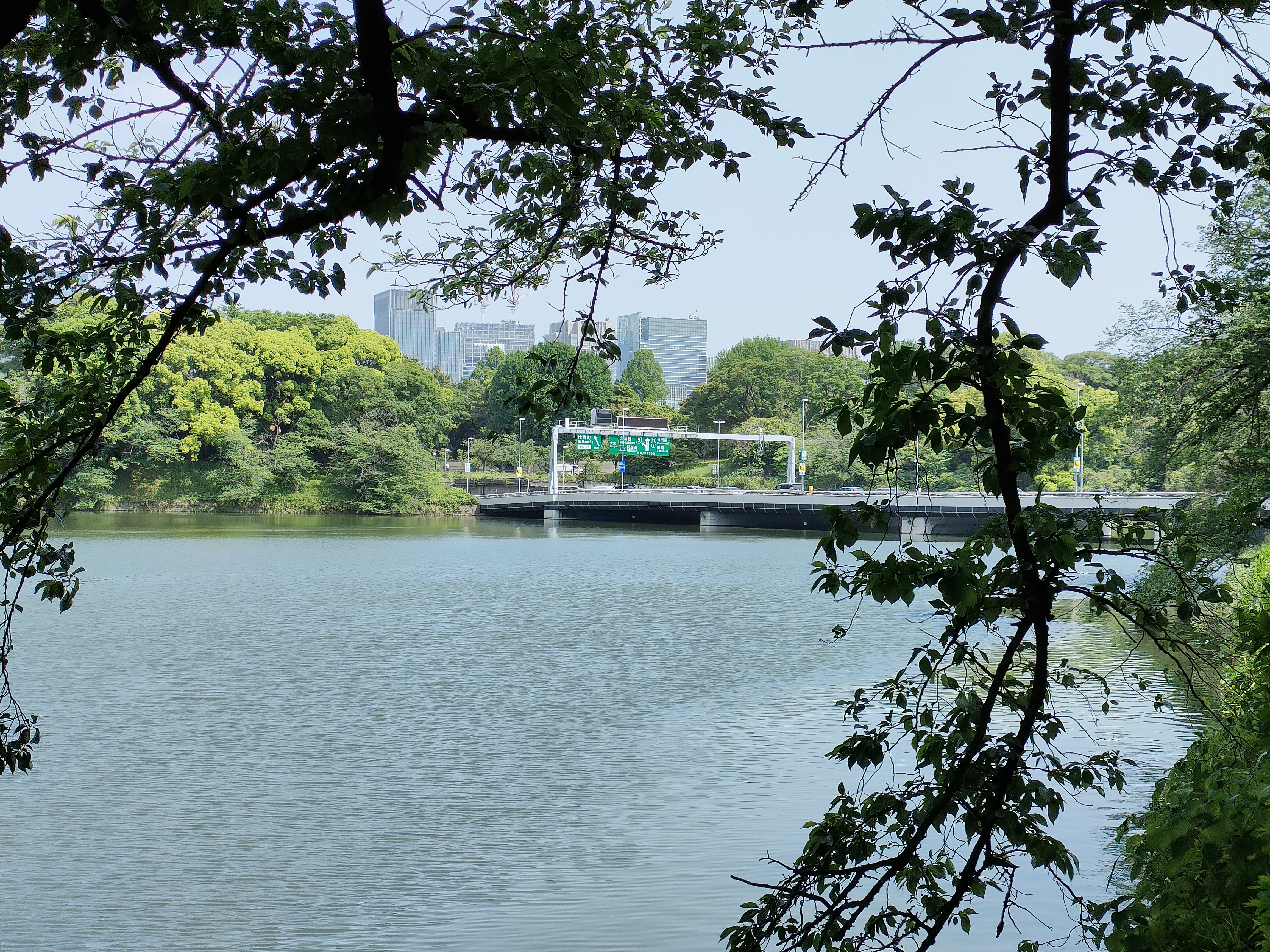 広角レンズで撮影