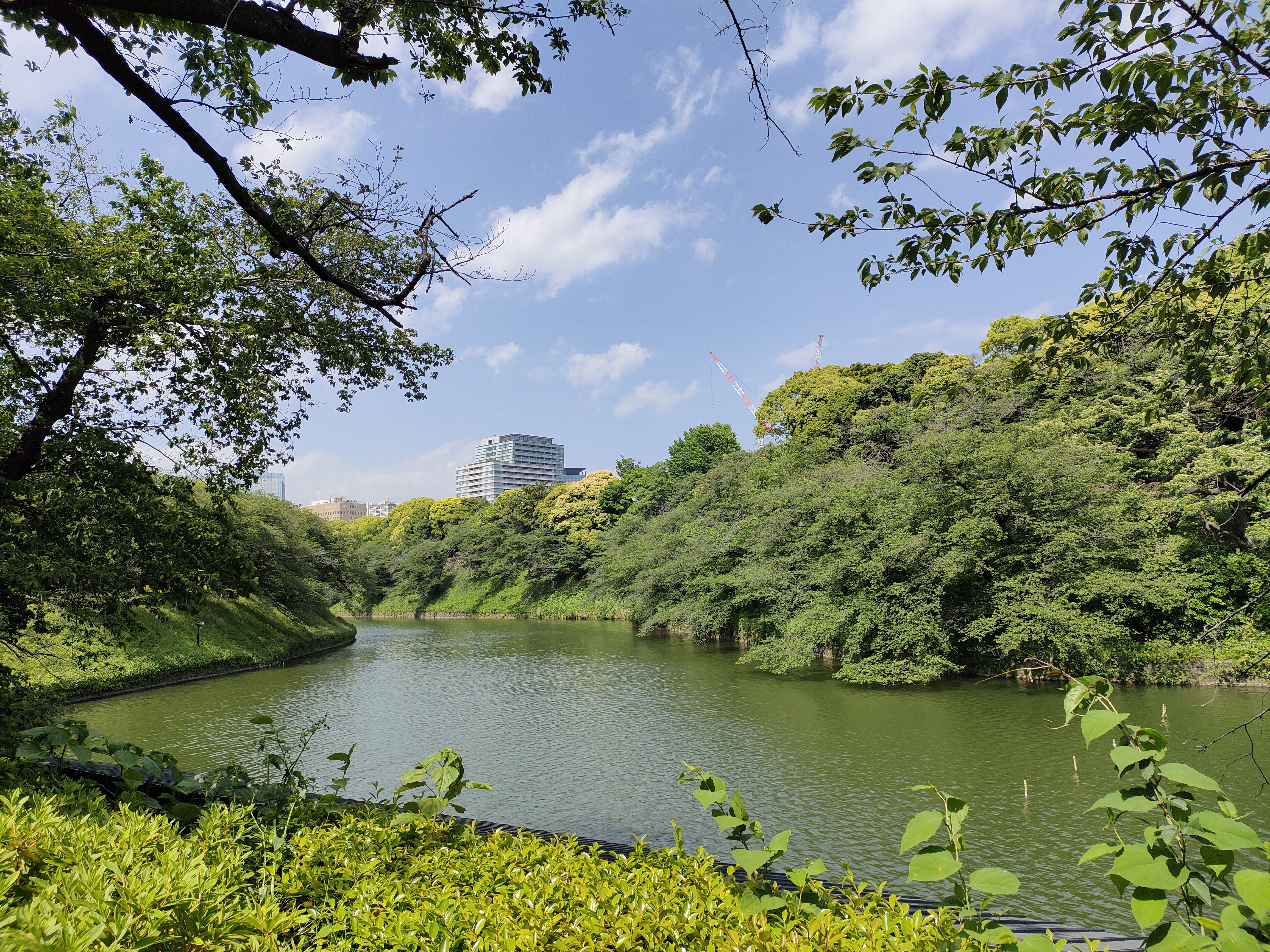 広角レンズで撮影