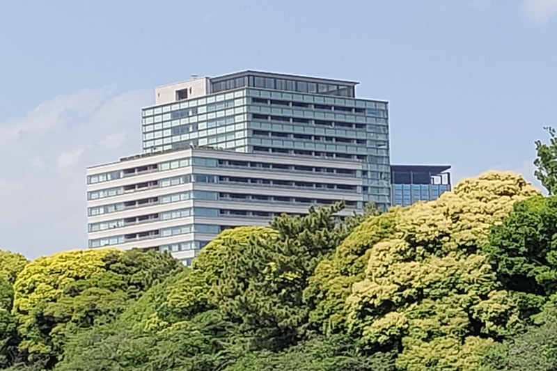 こちらは超高解像度で撮影した写真の一部を切り取ったもの。差はそれほど大きくないが、こちらのほうがシャープに撮影できている