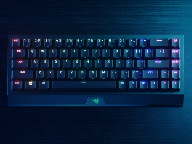 BlackWidow V3 Mini HyperSpeed