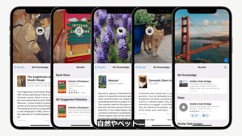 本や動物の名前などもSpotlightで検索できる