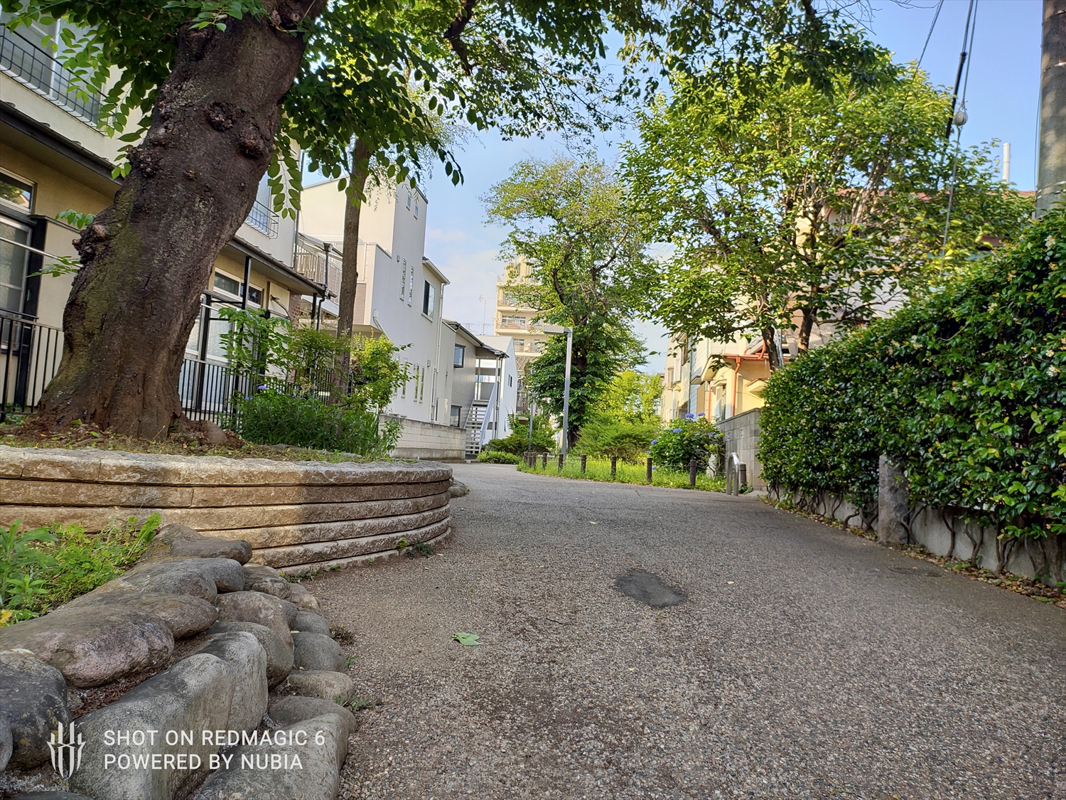 画質はクセがなく、解像感も良好。広角カメラへの切り替えがやや分かりづらいが、まずプローショット(マニュアルモード)に切り替える必要がある点には注意