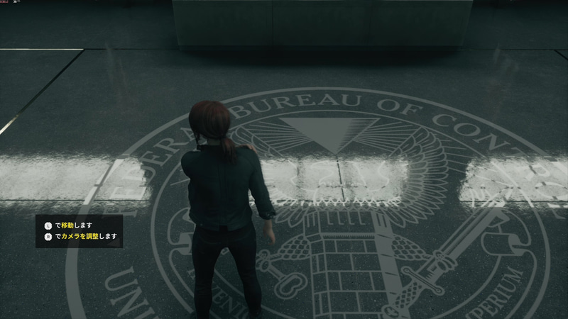 レイトレーシングオンの状態では、星条旗を画面外に持っていった場合でも床に星条旗の映り込みが表示されたままとなる