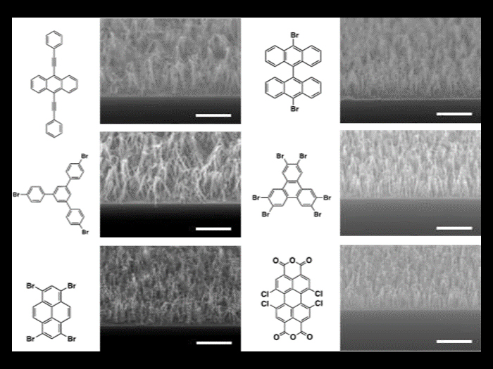 様々な分子を自由に選択して直立型ナノワイヤーを形成した例