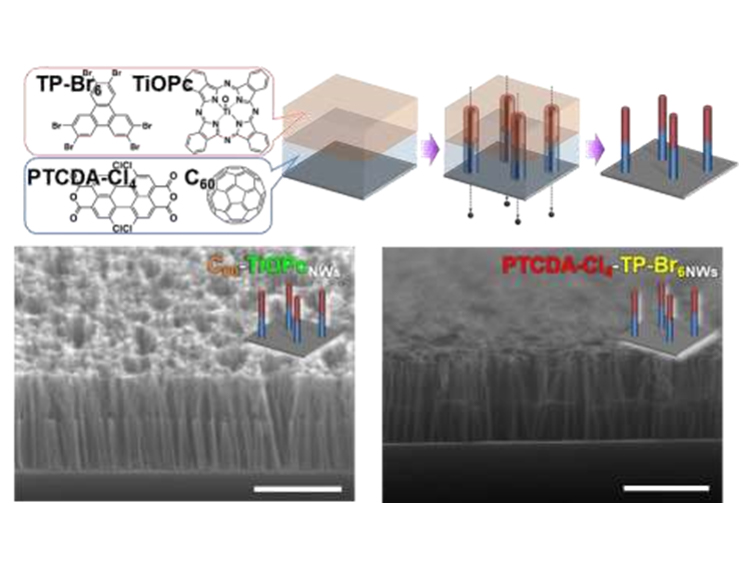 フタロシアニン/フラーレン分子とペリレン酸無水物/トリフェニレン分子を積み重ねてナノワイヤーを形成した例