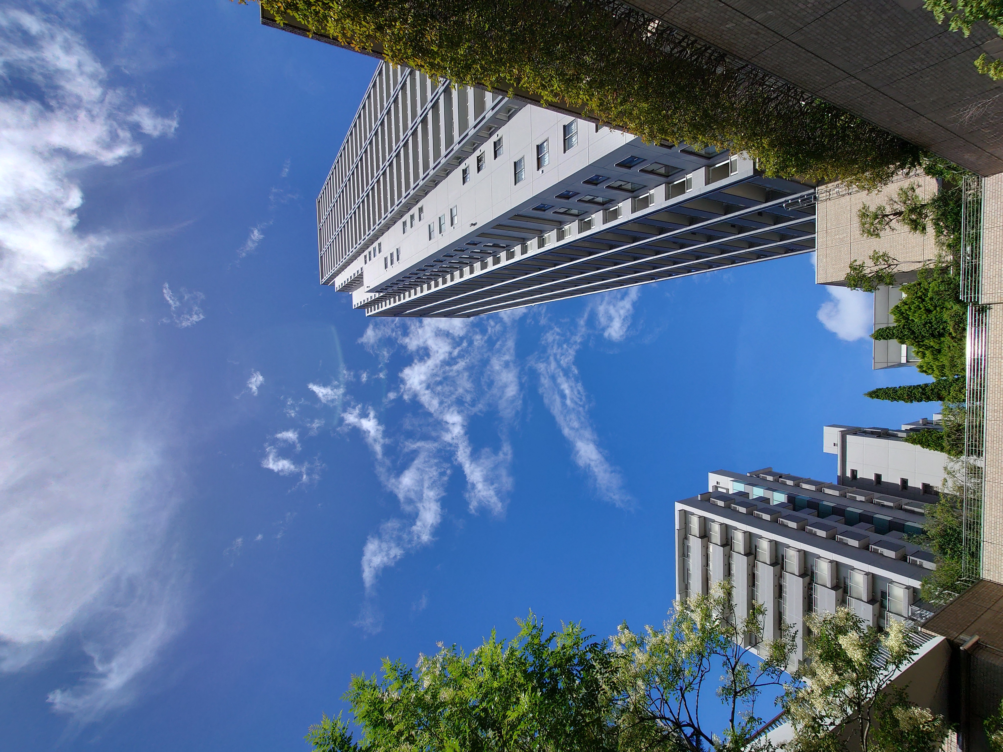 モデル:<a href="https://twitter.com/akane95ai">茜音愛さん</a>