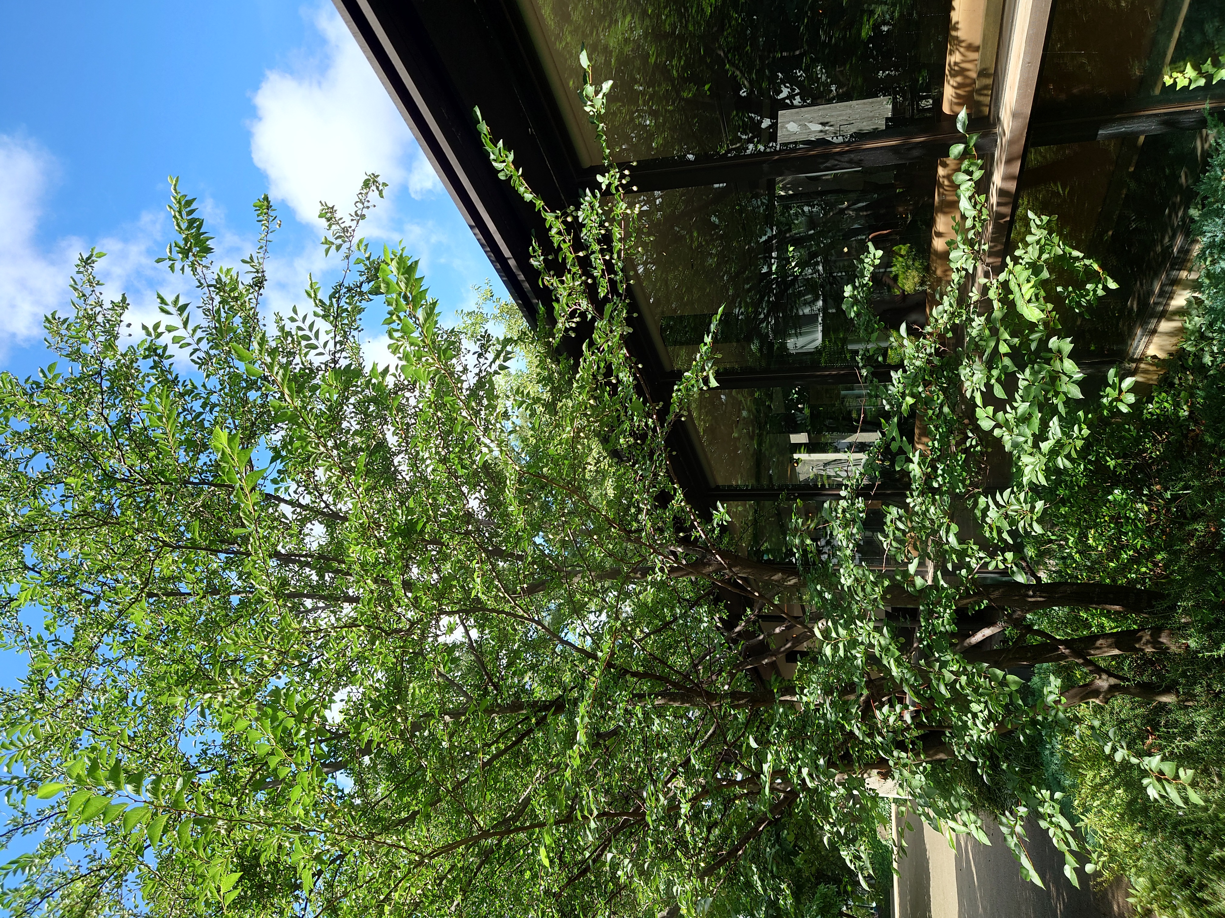 モデル:<a href="https://twitter.com/akane95ai">茜音愛さん</a>