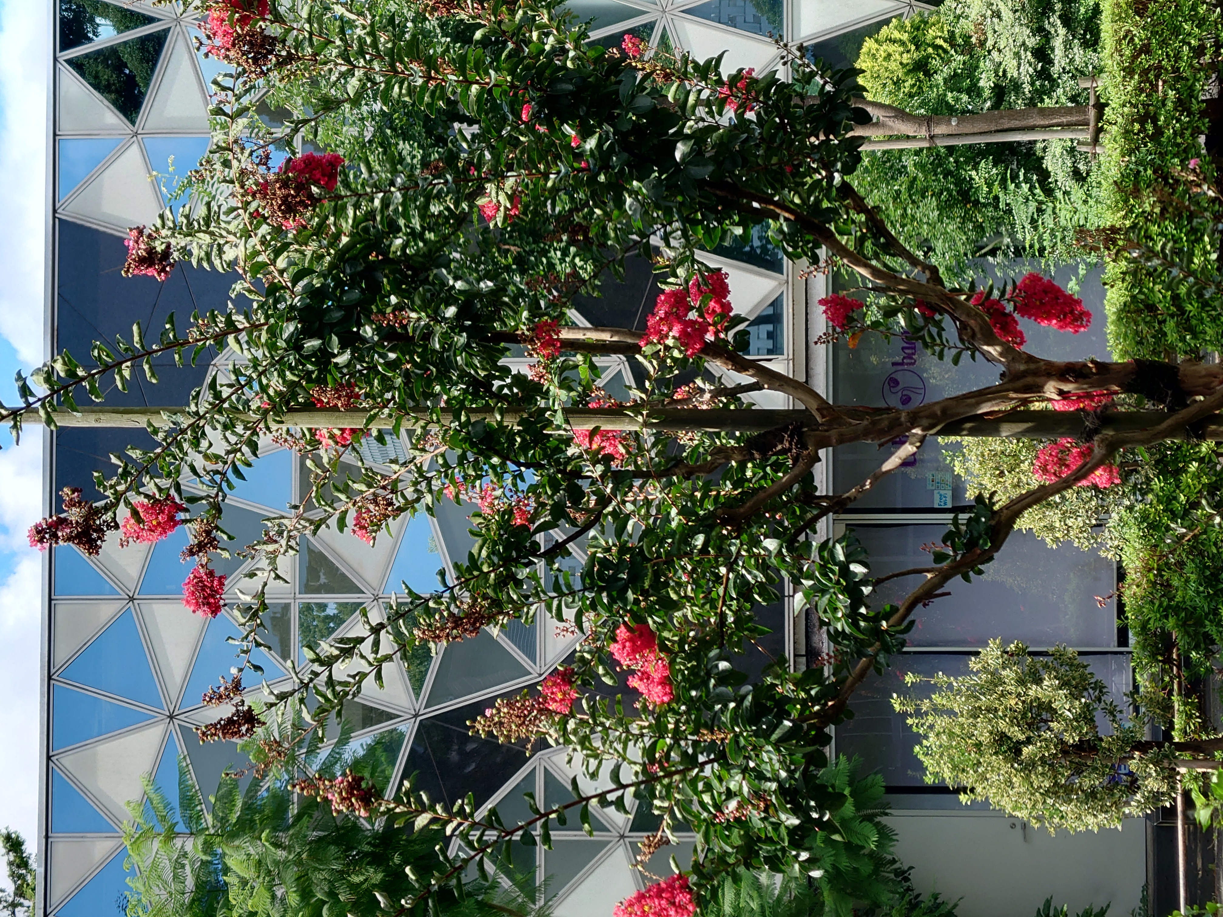 モデル:<a href="https://twitter.com/akane95ai">茜音愛さん</a>