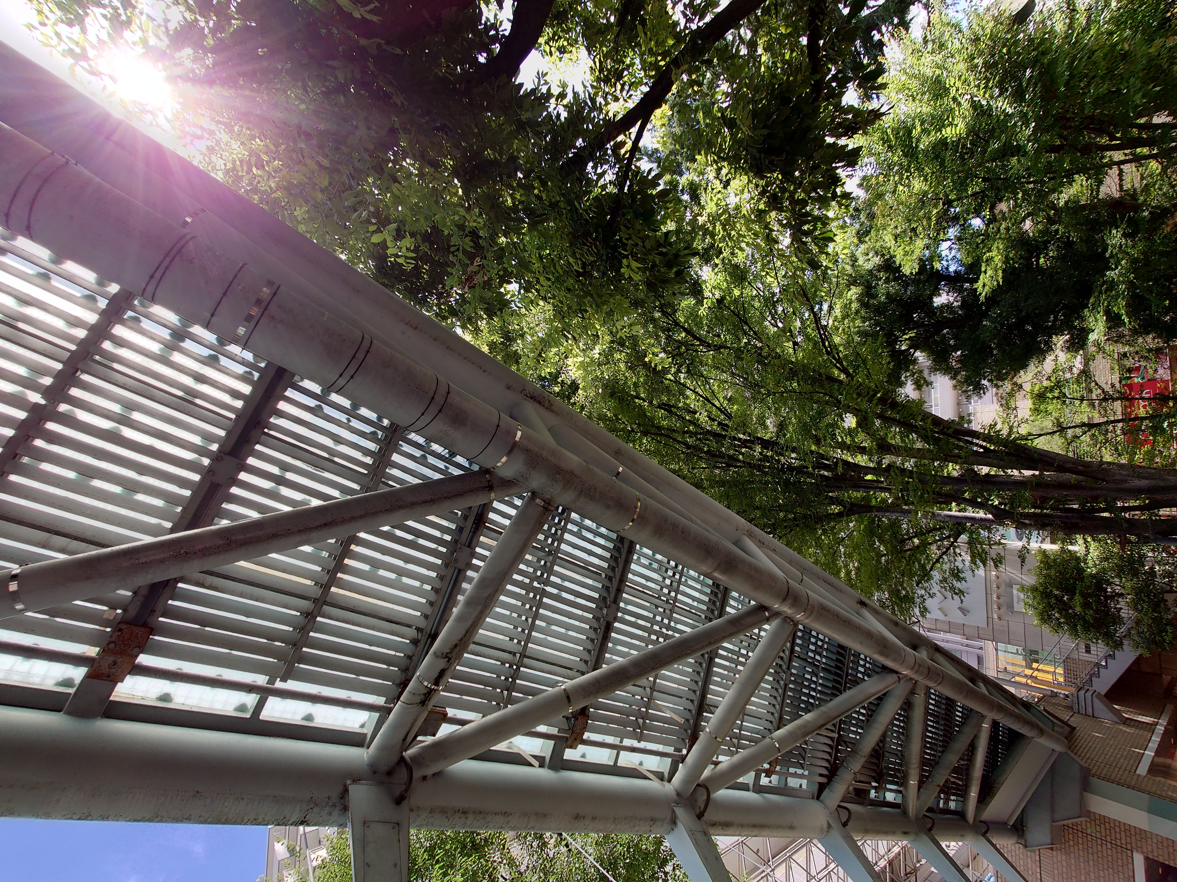 モデル:<a href="https://twitter.com/akane95ai">茜音愛さん</a>