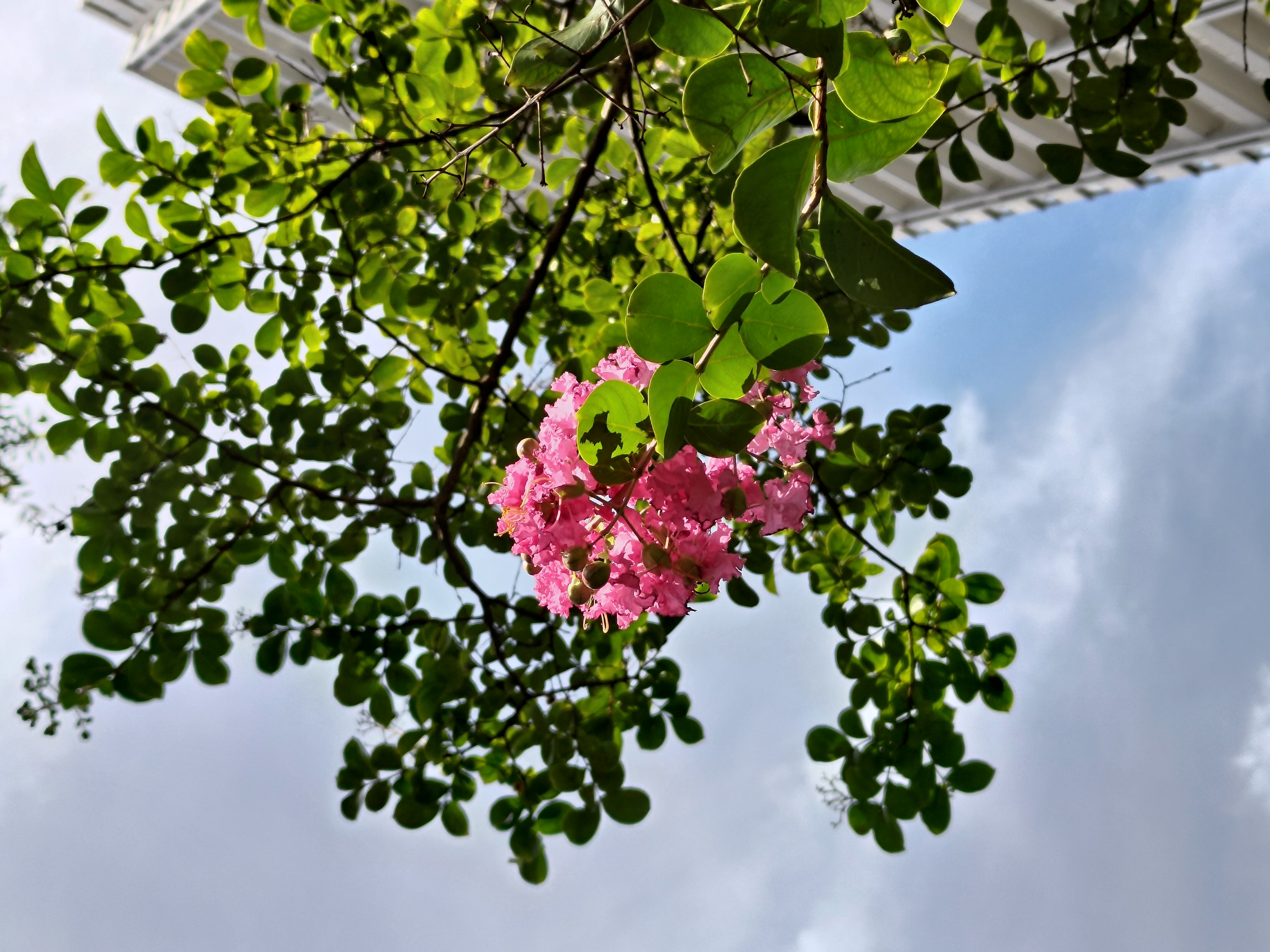 モデル：<a href="https://twitter.com/akane95ai" class="n" target="_blank">茜音愛</a>