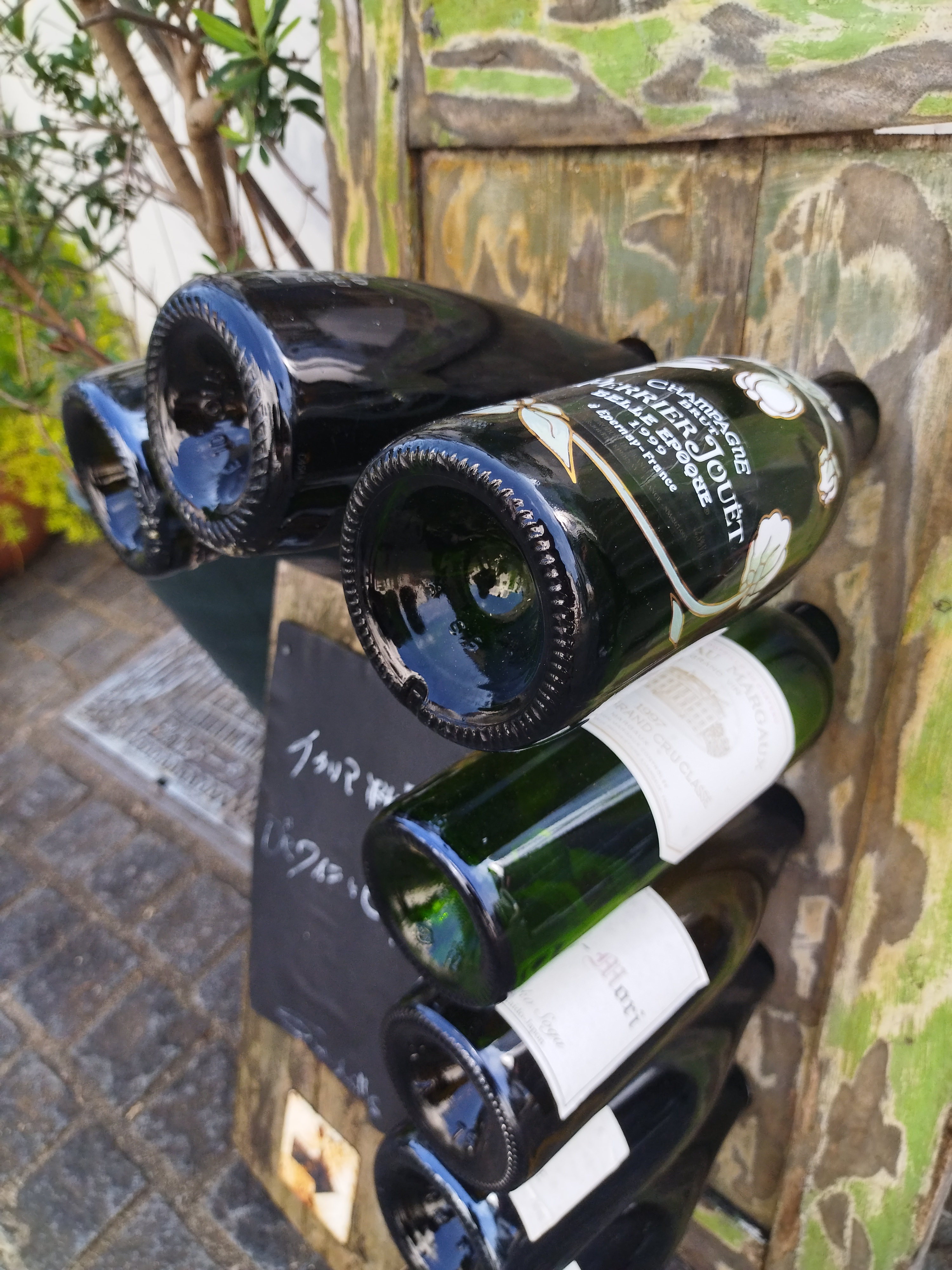 モデル:<a href="https://twitter.com/akane95ai" class="n" target="_blank">茜音愛</a>