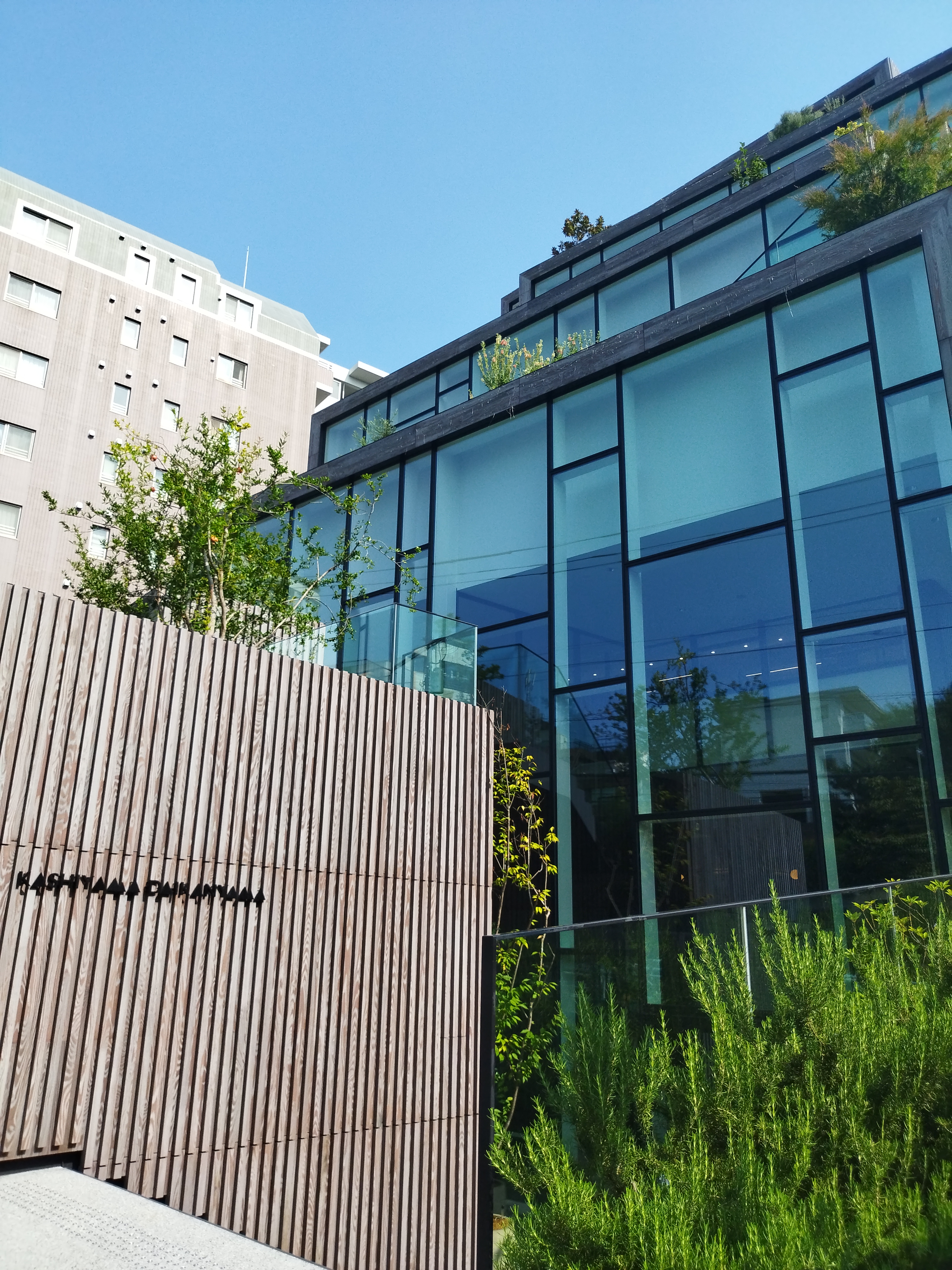 モデル:<a href="https://twitter.com/akane95ai" class="n" target="_blank">茜音愛</a>