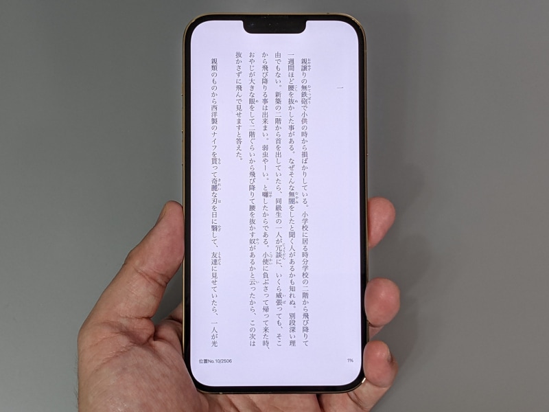 テキストはコンパクトで読みやすい。感覚的には「幅が多少狭い文庫本」といったところ