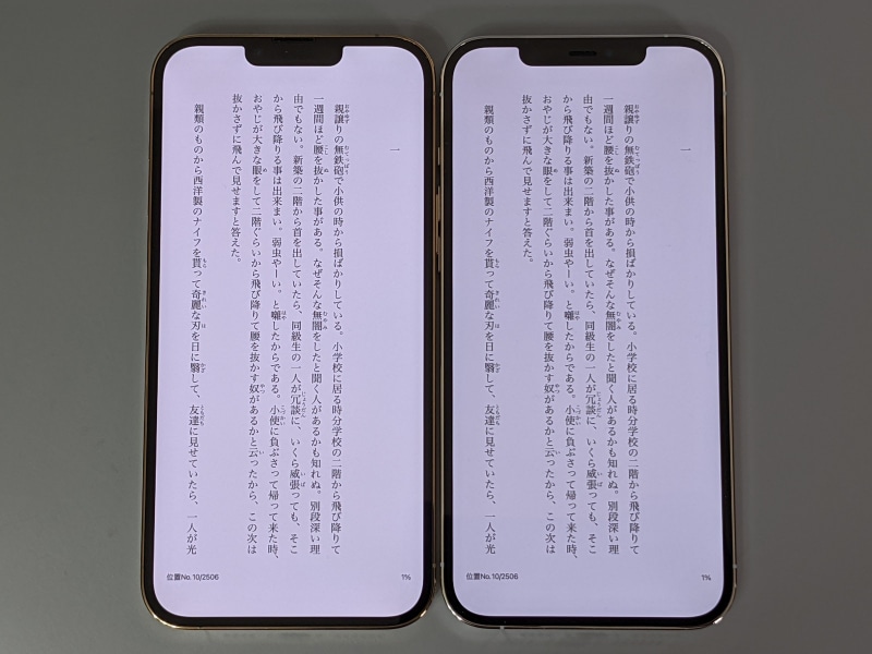従来のiPhone 12 Pro Max(右)との比較。まったく同一だ