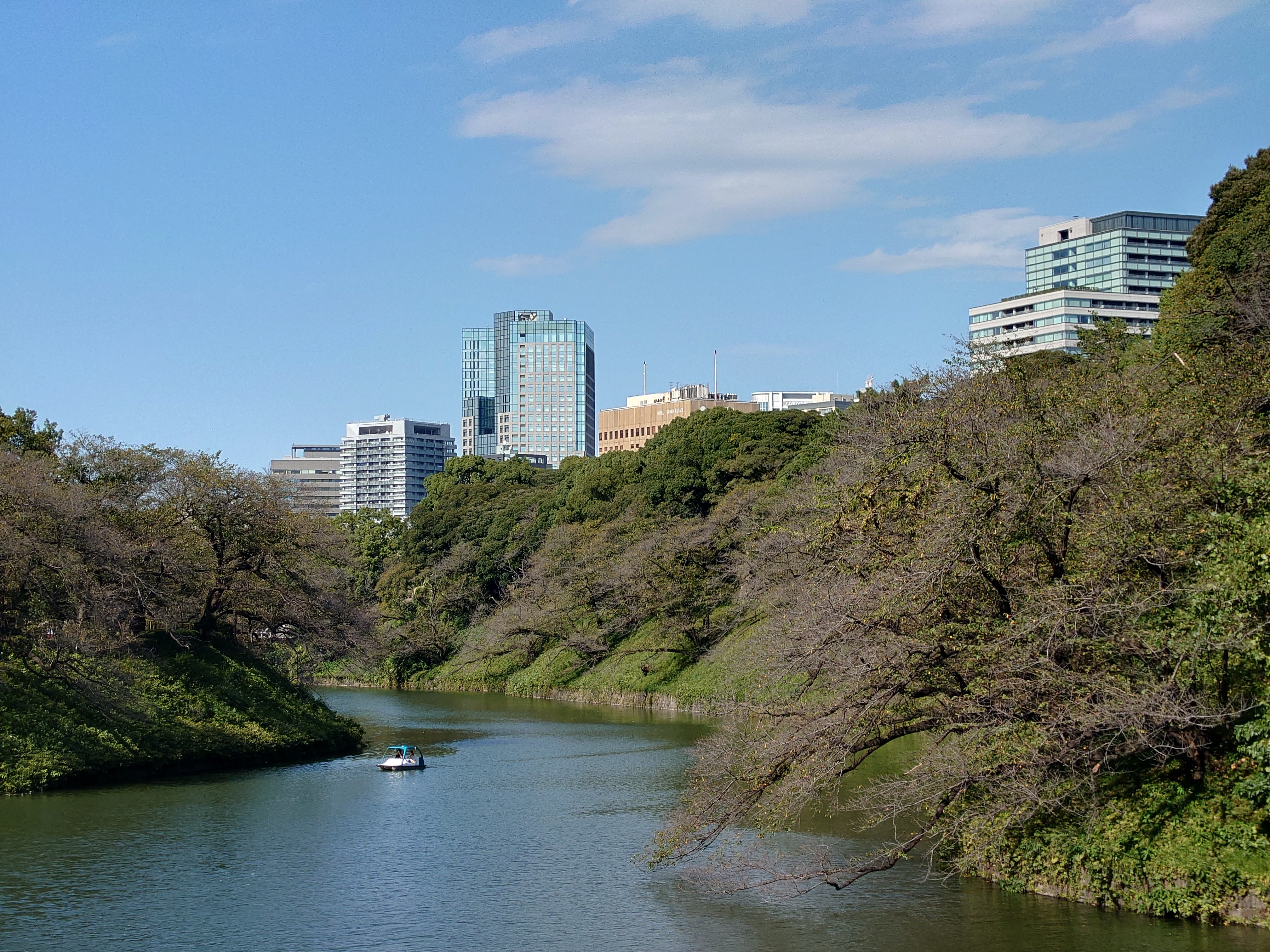 望遠・2.9倍で撮影