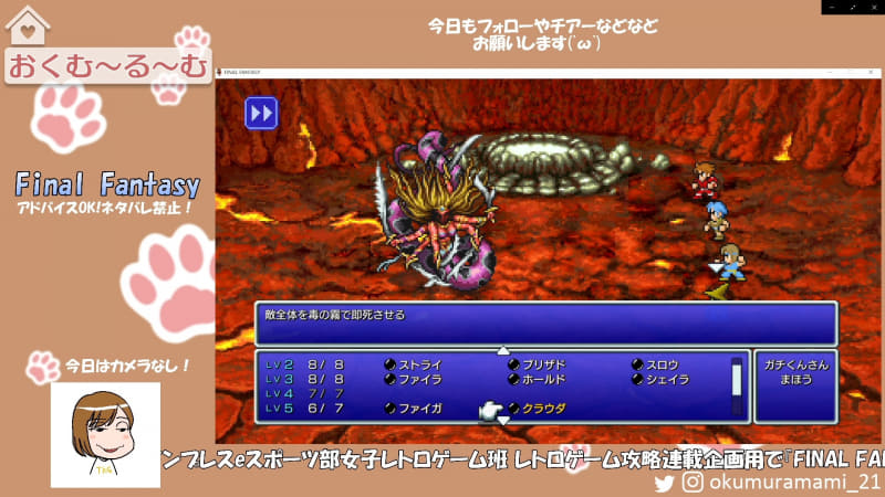 なぜか魔法レベル4だけすっからかん