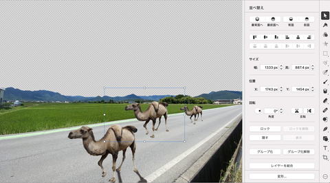  Pixelmator Pro に、さまざまな写真間で色を一致させるための新しい ML マッチ カラー機能が追加されました