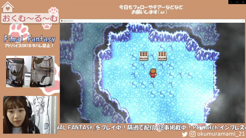 氷の洞窟の落とし穴