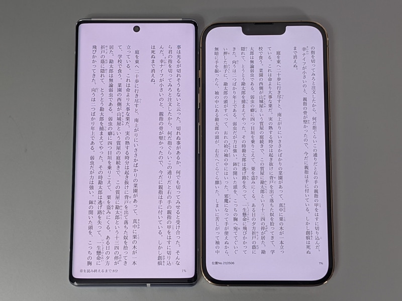 テキストの表示、iPhone 13 Pro Max(右)との比較。こちらはほぼ同等だが、下部は(主にAndroidとiOSの仕様の違いにより)本製品のほうが広く表示される