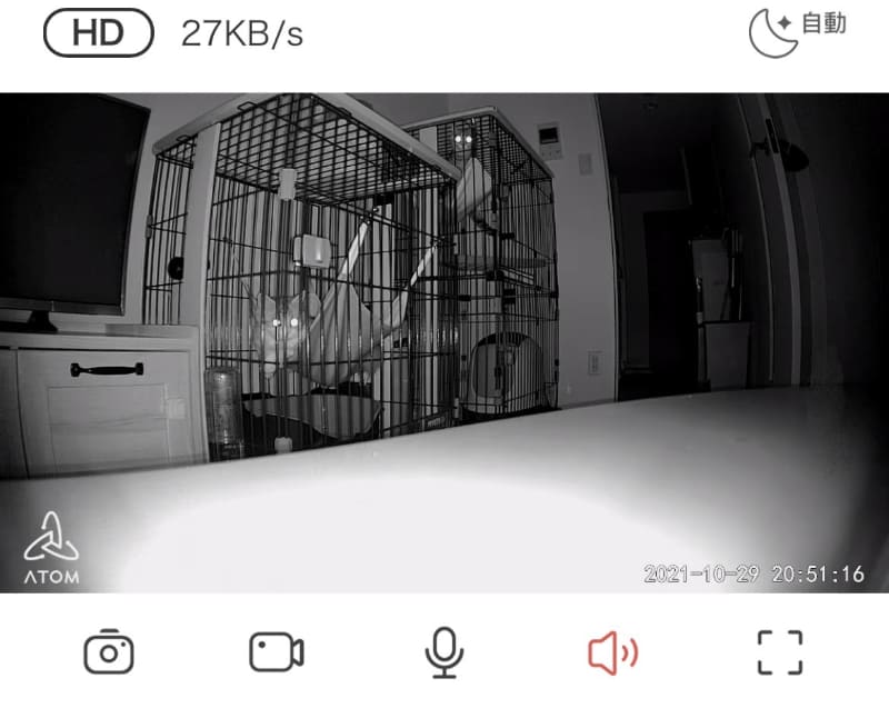 ナイトモードオンだと、しっかりと確認できるほどの明るさに