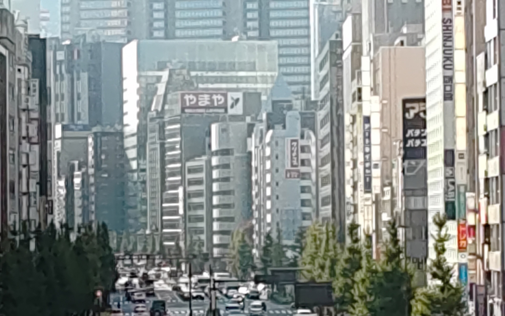 風景(6倍デジタルズーム)