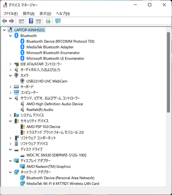 デバイスマネージャ/主要なデバイス。ストレージはSSD 512GBのWestern Digital「WDC PC SN530 SDBPNPZ-512G-1002」。Wi-Fiは「MediaTek Wi-Fi 6 MT7921 Wireless LAN Card」。BluetoothもMediaTek製