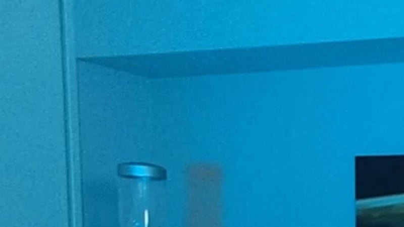 やはりノイズが出やすいのは暗めの部分。背景の一部を拡大してみた。上がノイズ除去なしで、下があり