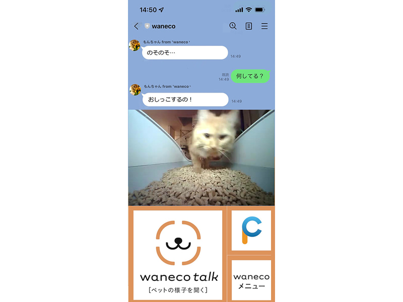 waneco talkを通じてメッセージとともに確認できる