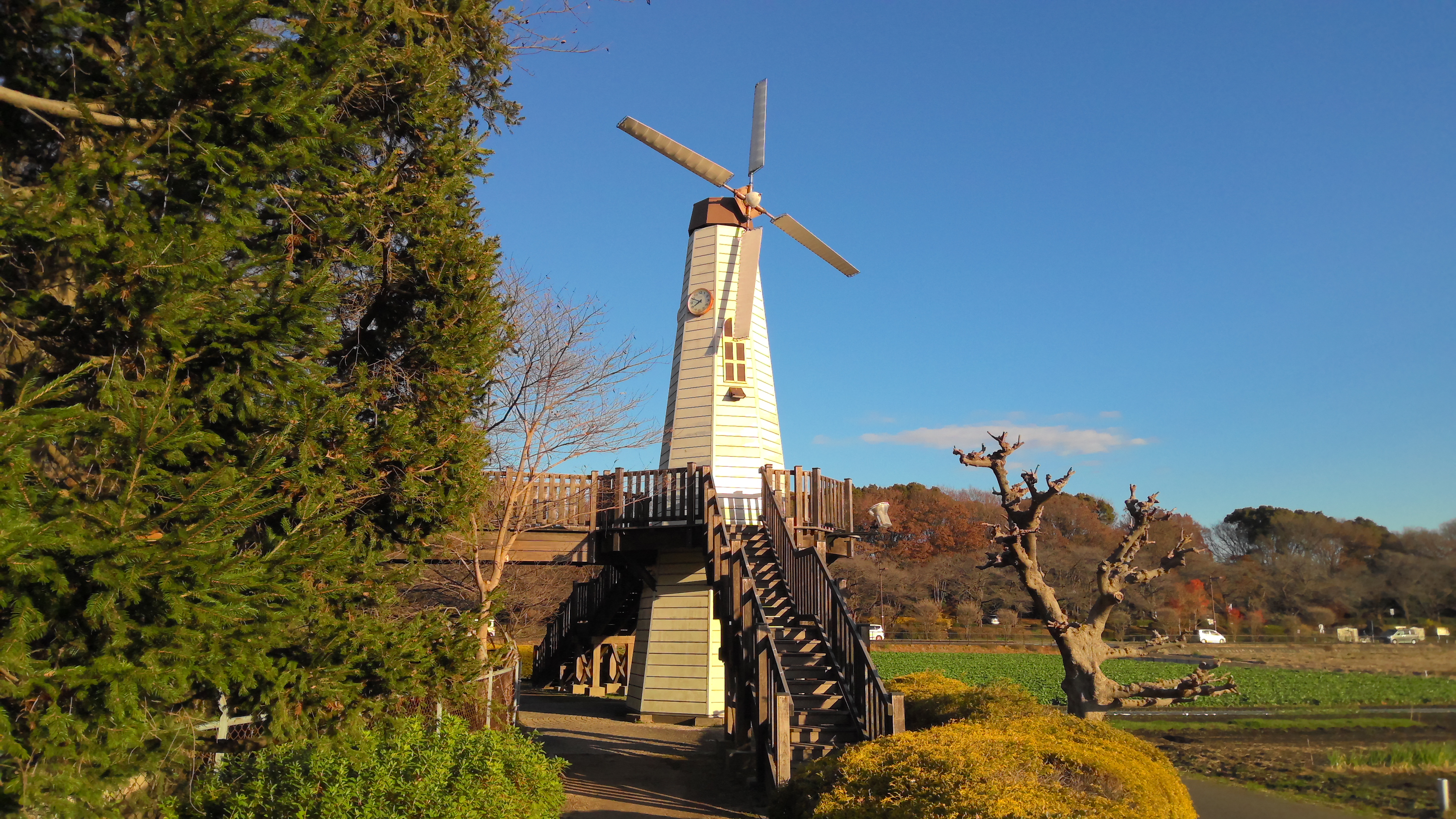 イメージ情報3,968×2,232ドット、シャッタースピード1/1025、F2.0、ISO38、露出モードAperture priority (semi-auto)、測光方式Average