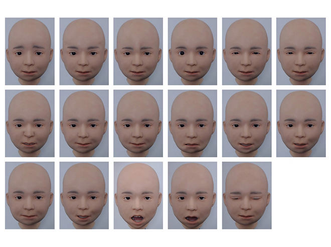 Nikolaの17個の個別表情筋の動き