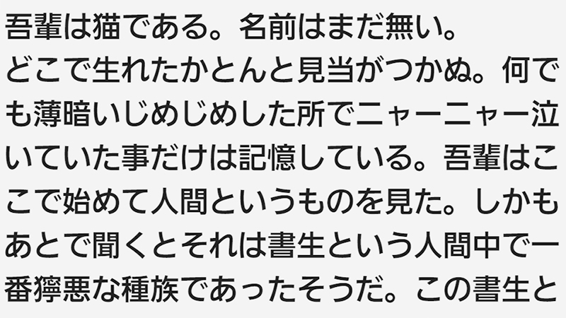 イワタUDゴシックバリアブル