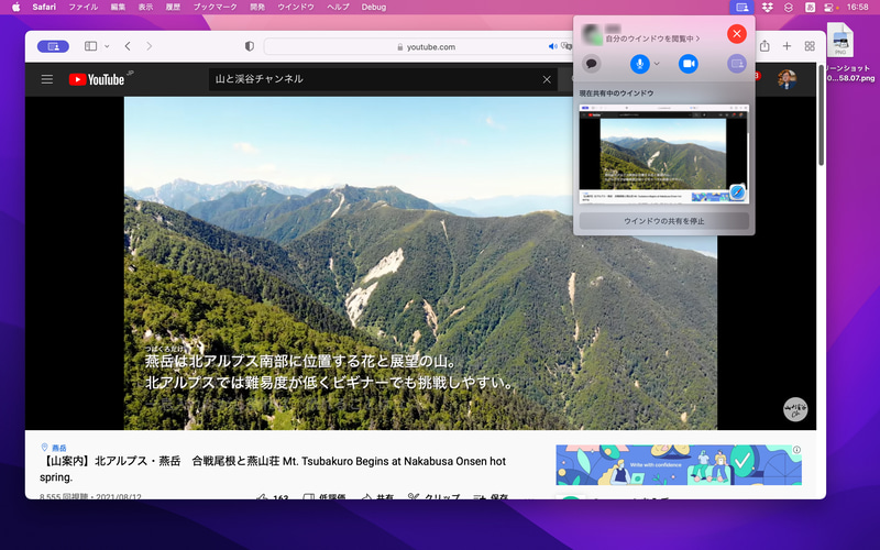 Macでウィンドウの共有を開始すると、通話相手のFaceTime(iPad版)には共有中のウィンドウのサムネイルが表示されます。これをタップすると画面が切り替わり、相手と同時にSafariの画面を視聴できます
