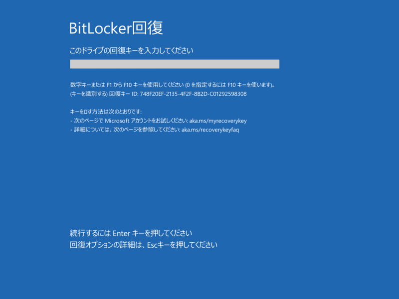 いずれの場合もデバイスが暗号化されている場合はBitLocker回復キーが必須。ないと詰む