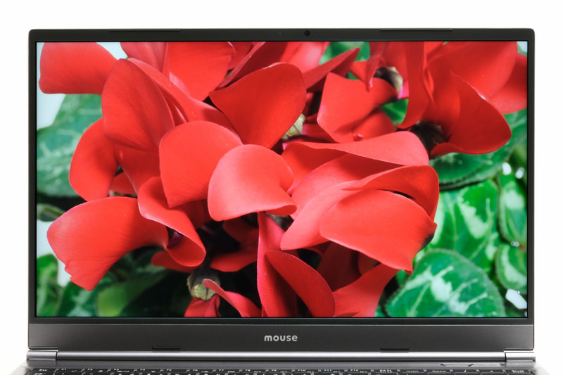 ディスプレイの発色には特に癖はない