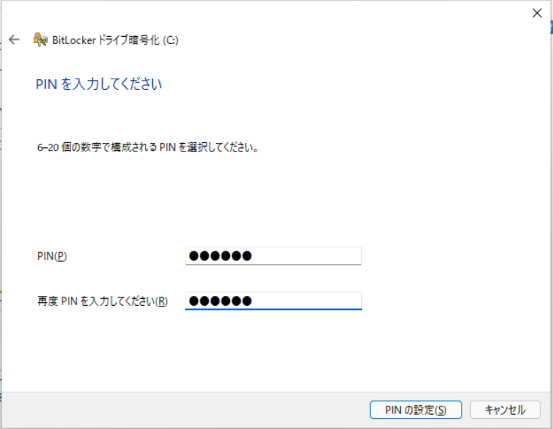 PINを入力。6桁以上が必要となる