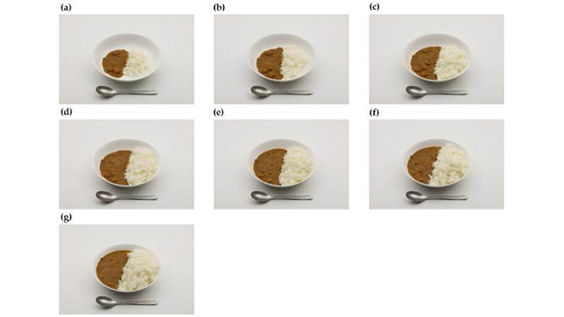 カレーライスの例(連続写真)