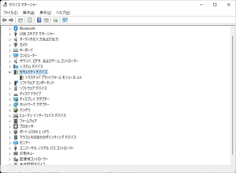 もちろんWindows 11導入の必須条件であるTPM 2.0にも対応している