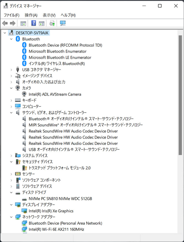 デバイスマネージャ/主要なデバイス。ストレージはSSD 512GBの「Western Digital PC SN810 NVMe SSD」。Wi-Fi及びBluetoothはIntel製