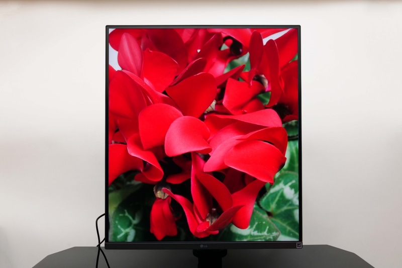 デフォルトの設定では実際の色より赤みが強かった。用途に合わなければ「画像調整」や「カラー調整」から変更しよう。カラーキャリブレーション機器を使えば正確に変更できる